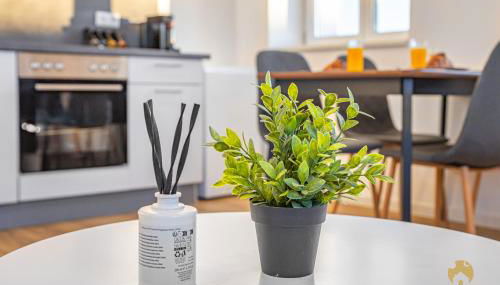 SMS-Homes I Auszeit am See - Foto 5