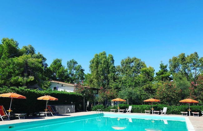 Viola Club Village - Photo 54