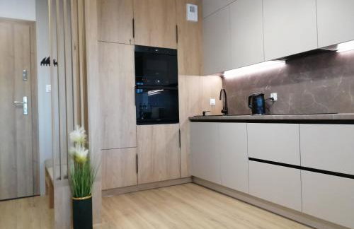 Apartament Zielone Wzgórze 3 - Foto 6