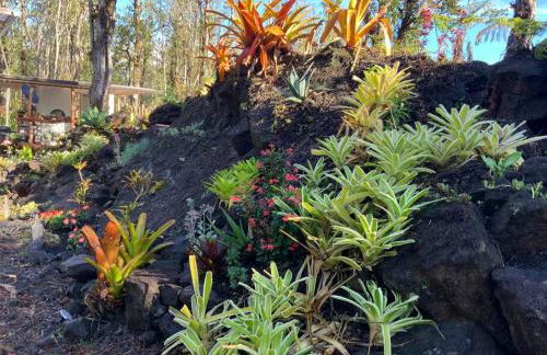 Exotic Garden cottage at amazing volcano fissure - Foto 31