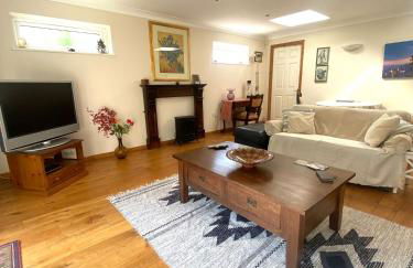 Little Dragons - Photo 9