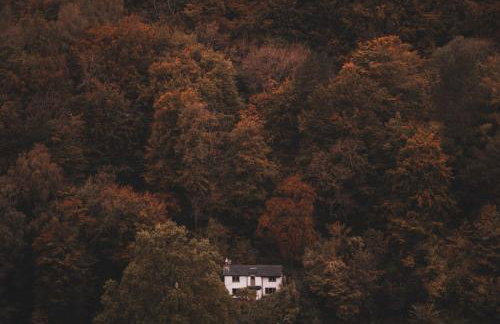 The Rapids Cottage-Secret woodland cottage with outdoor 4 person jetted bath - Foto 1