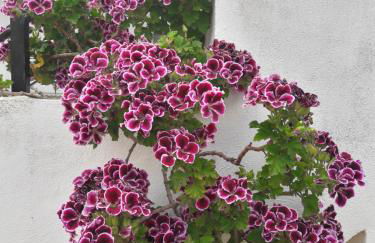 La Casa de la Lluna - Foto 27