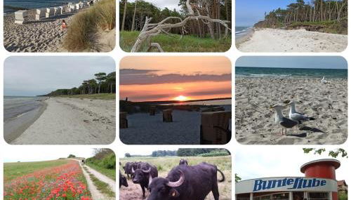 Ferienwohnung Born am Darßwald OG - Foto 5