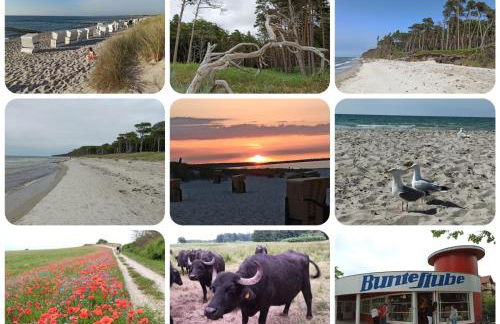 Ferienwohnung Born am Darßwald OG - Foto 5