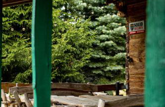 Cisza żurawi - Foto 19