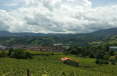 OFERTA ESPECIAL ÚLTIMA HORA - SARAKATUA15 - vistas espectaculares - familias y parejas - 2 dormitorios independientes - amplio salón cocina comedor - tarjeta parking OTA GRATIS - Julio y agosto estancia mínima 7 noches de domingo a domingo - - Foto 62