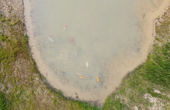 "Malinda" - 500m from the sea - Foto 8