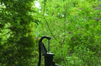 Leśny kasztel pod sosnami. Pokój w koronach drzew. - Foto 7