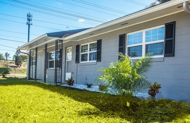 Plush Paradise - Foto 1