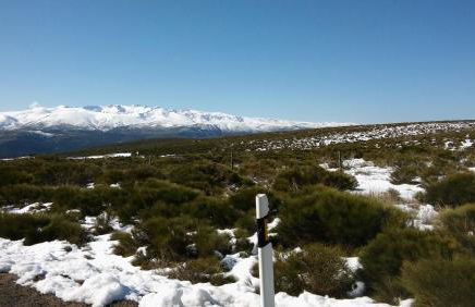 El Torreon II - Photo 39