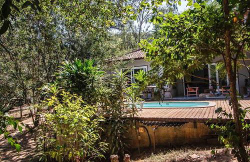 Canto dos pássaros - Foto 10