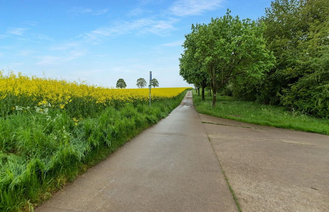 La Huche de Raphaelle - Photo 72