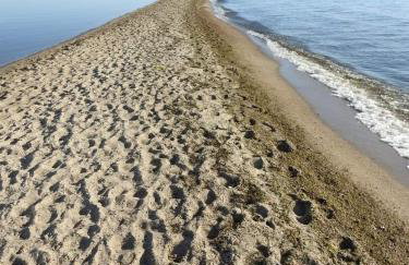 Dla Przyjaciół - Apartamenty nad morzem - Foto 54