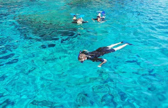 Snorkelling at Ponta de São Lourenço - Photo 7