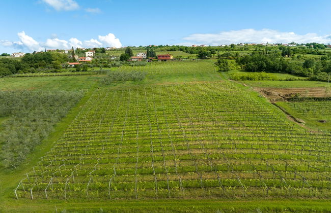 Tourist farm RED FAIRYTALE - Foto 71