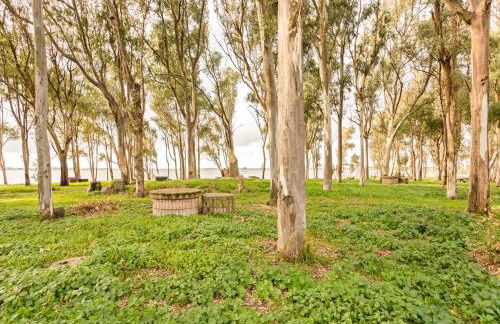 Homes in the Lagoons of Santa Giusta - Foto 9