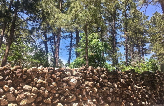 Elk Creek Resort - Foto 65