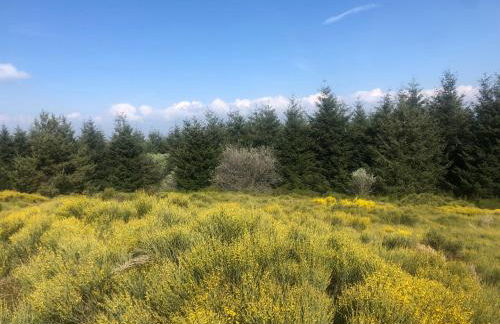 Condrieu et parking voiture vélo 2 ème étage - Foto 27