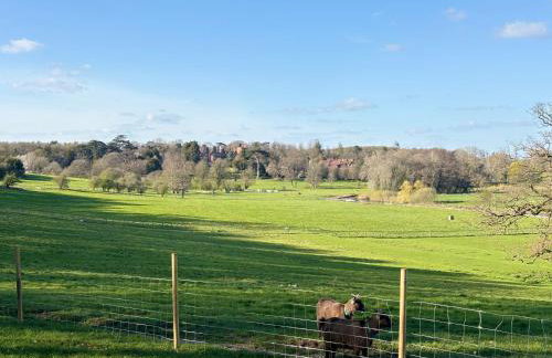 Outlook farm cabin firepit - Photo 36