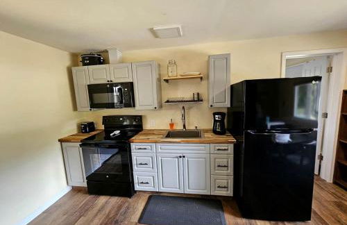 Beautiful Cottage Nestled Amidst Trees in Wellston, Michigan - Foto 3