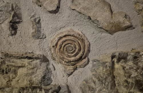 El Conventu del Asturcon - Foto 44