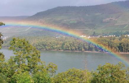 Ferienwohnung Märchenhain am Mittelrhein - Rheinblick, Terrasse & Garten, 2 Schlafzimmer und 2 Bäder - Foto 21