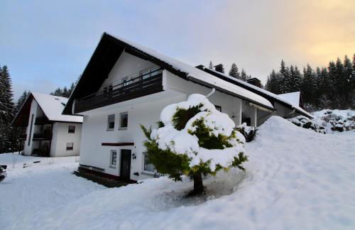 Ferienhaus Frei 1 Hinterzarten - Foto 29