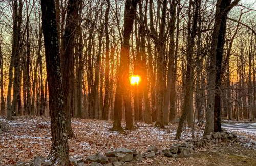 Whistle and Quill Lodge - Foto 42