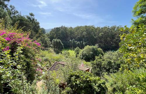 Dúplex de invitados en medio del bosque - Foto 6