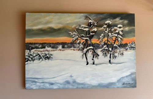 Chalet 50m² à Morillon, proche Lac Bleu, parking - FR-1-642-42 - Foto 16