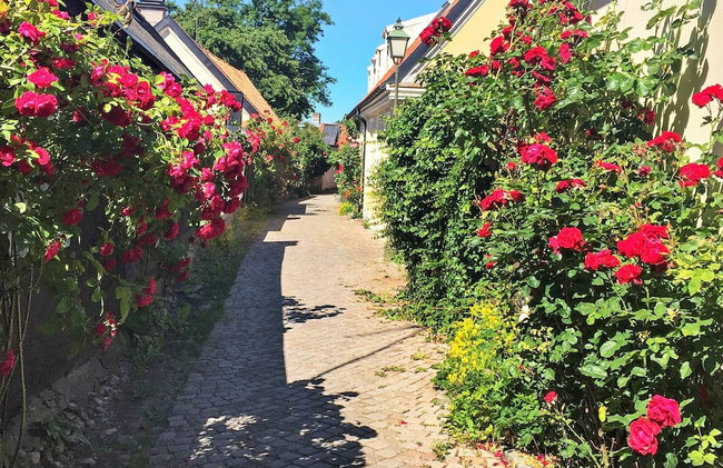 4 Star Holiday Home in Visby - Foto 18