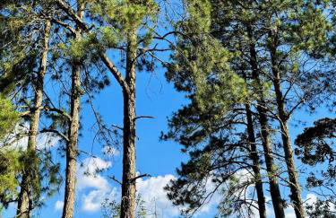 Serra Nevada House - Foto 21