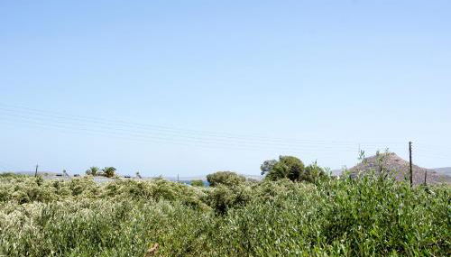 Giorgos villa - Photo 5