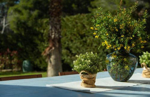 Villa Barotul with pool - Photo 59