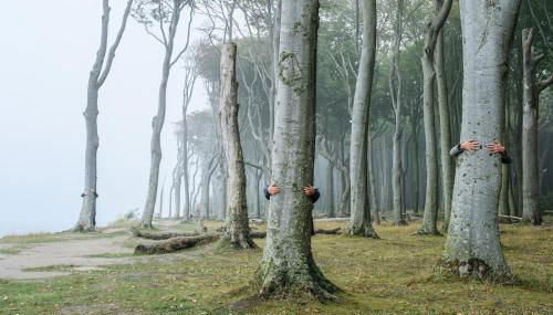 Ferienwohnung am Kunterbunthof - Foto 2