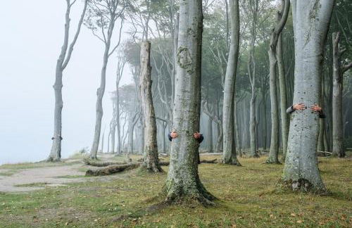 Ferienwohnung am Kunterbunthof - Foto 2