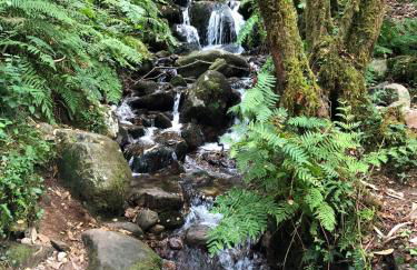 La casa de Angel y Olimpia - Photo 48