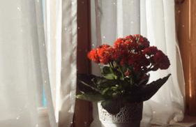 LELE-LAKE super domek Mazury - Photo 41