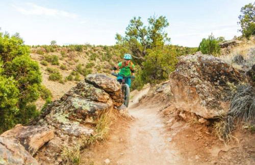 Cedar Mountain Bunkhouse cabin - Foto 13