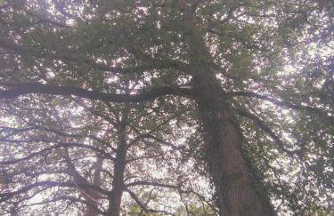 Le Goire at Le Maingaud - Foto 33