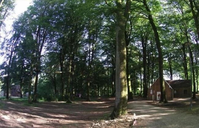 Etape en forêt - Foto 63