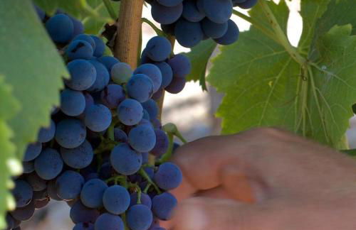 Appartamento Maria's House - Foto 57