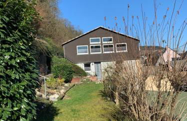 Turteltäubchen am Taubenhaus Residenz Moselliebe - Foto 15