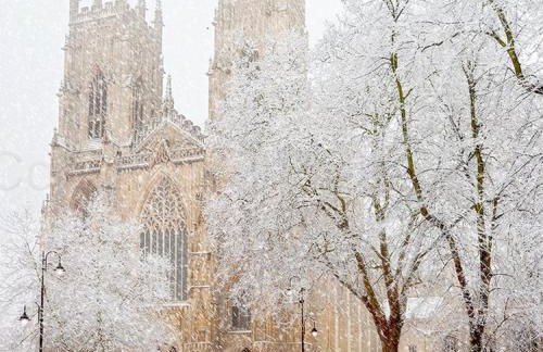 THE OLD Cart House - Foto 50