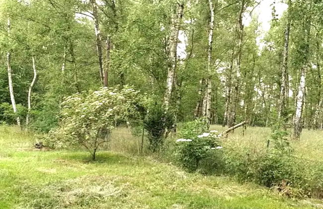 Delightful Apartment in Goslar With Garden and Terrace - Foto 23