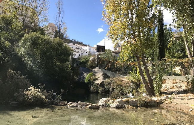 El Palacil - Foto 22