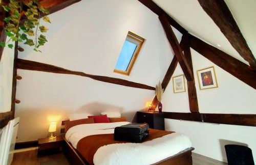 Manoir de L'Aisnerie - Foto 18