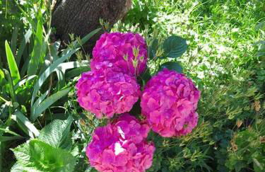 Preciosa casita a 10 minutos de la playa. - Foto 17