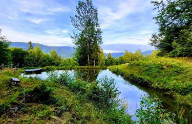 Apartament Buczyna - Foto 52